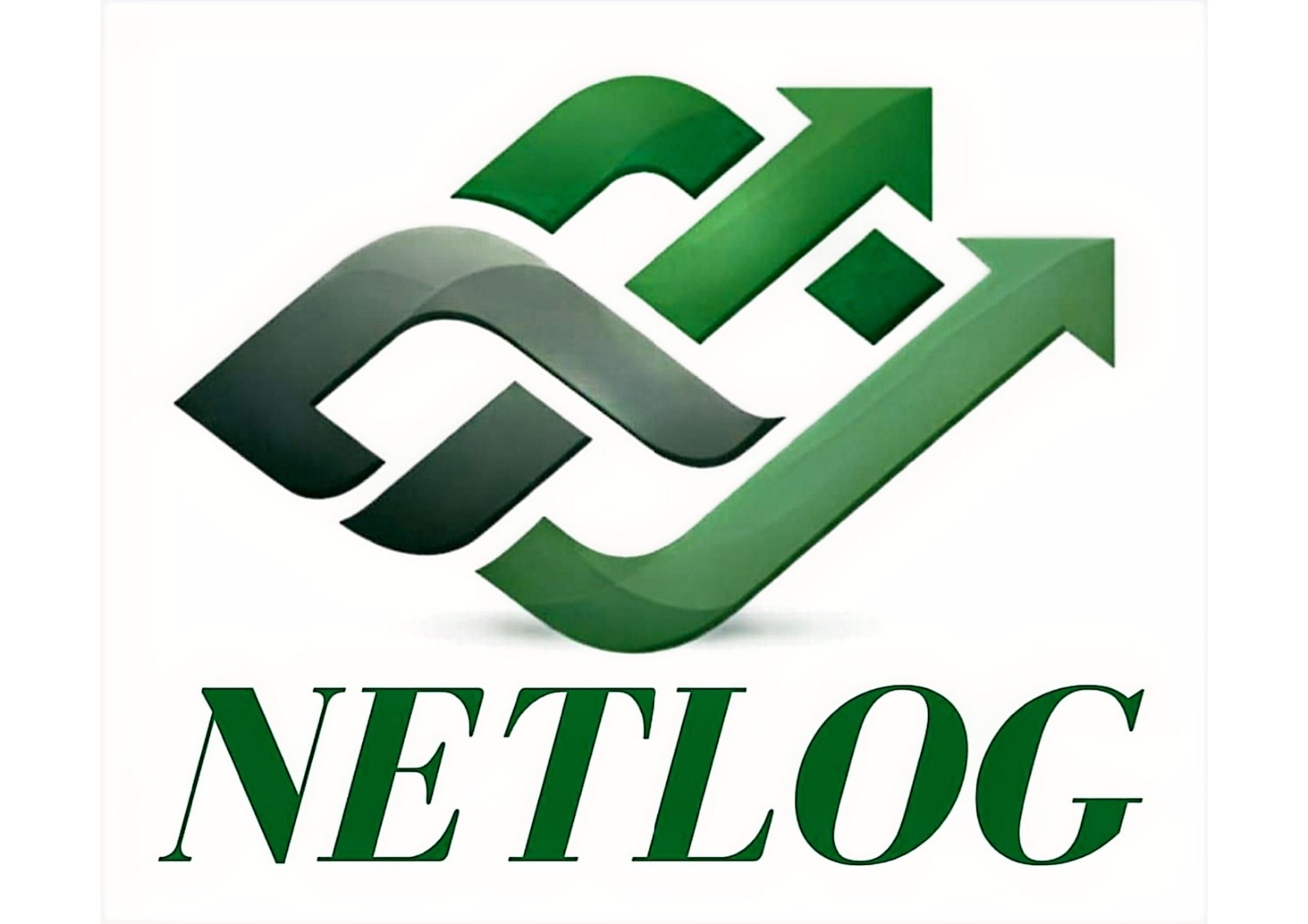 Logo NETLOG